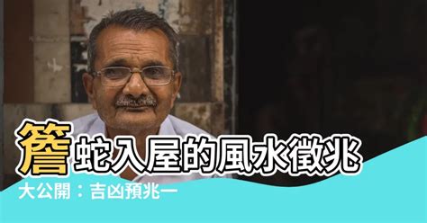 蛇入屋風水|四腳蛇風水吉凶預測